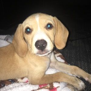 Meet your Posher, Kimber